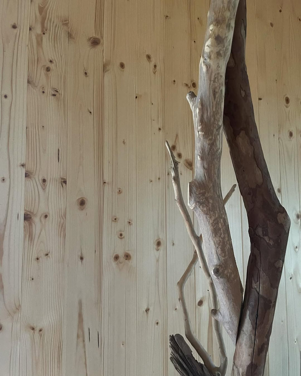 Storage｜ Standing Coat Rack