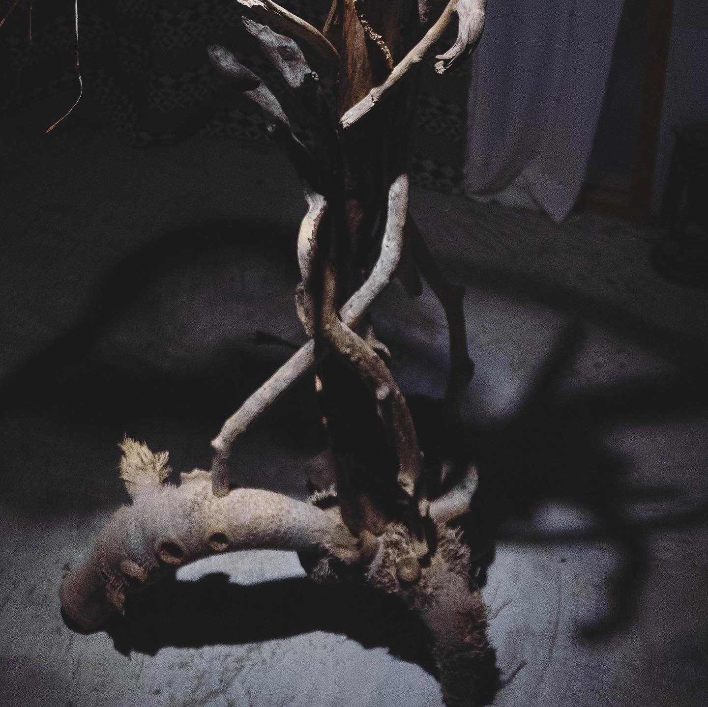 Exhib.｜〈東村事發〉系列作品——雲山