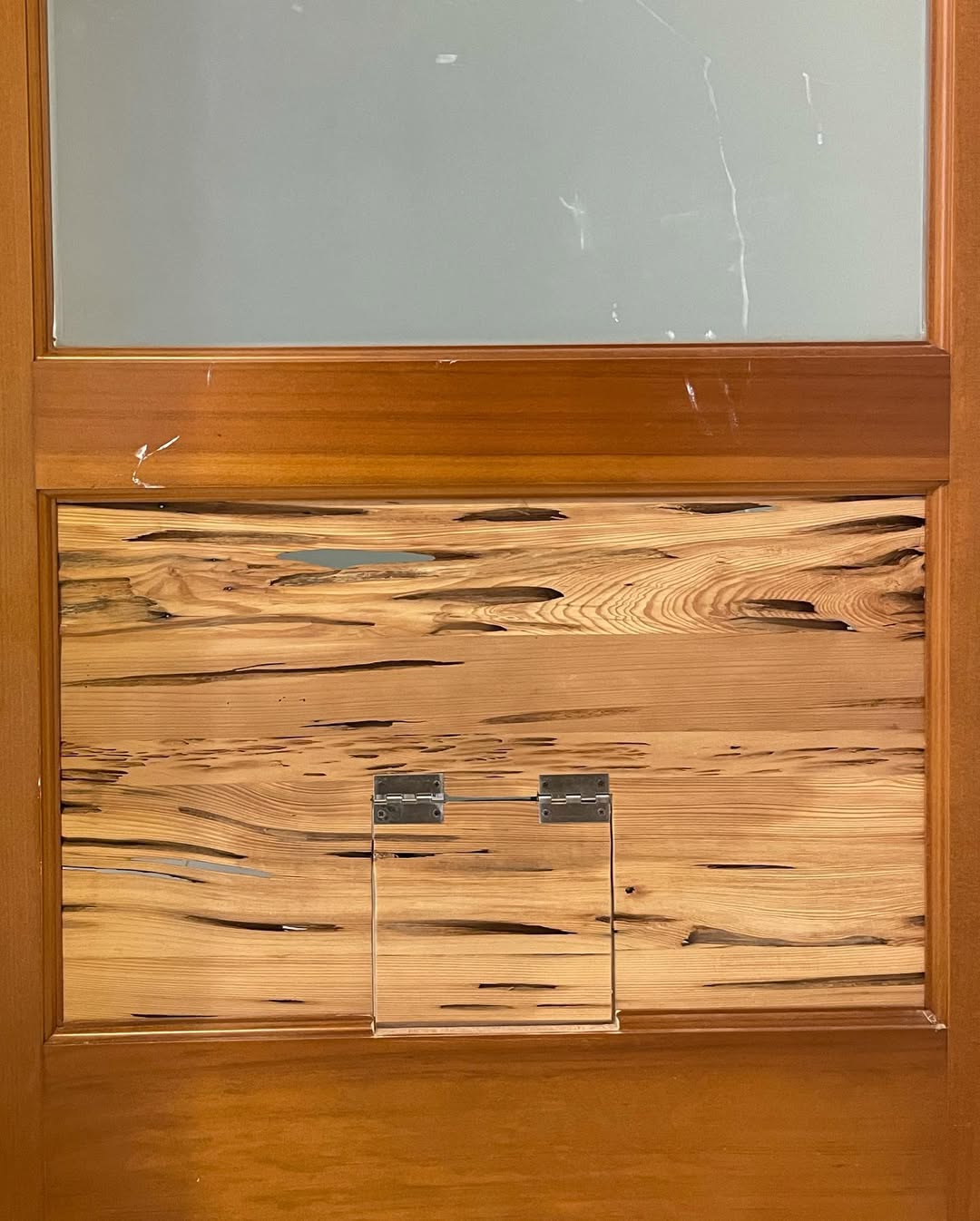 Door｜貓門