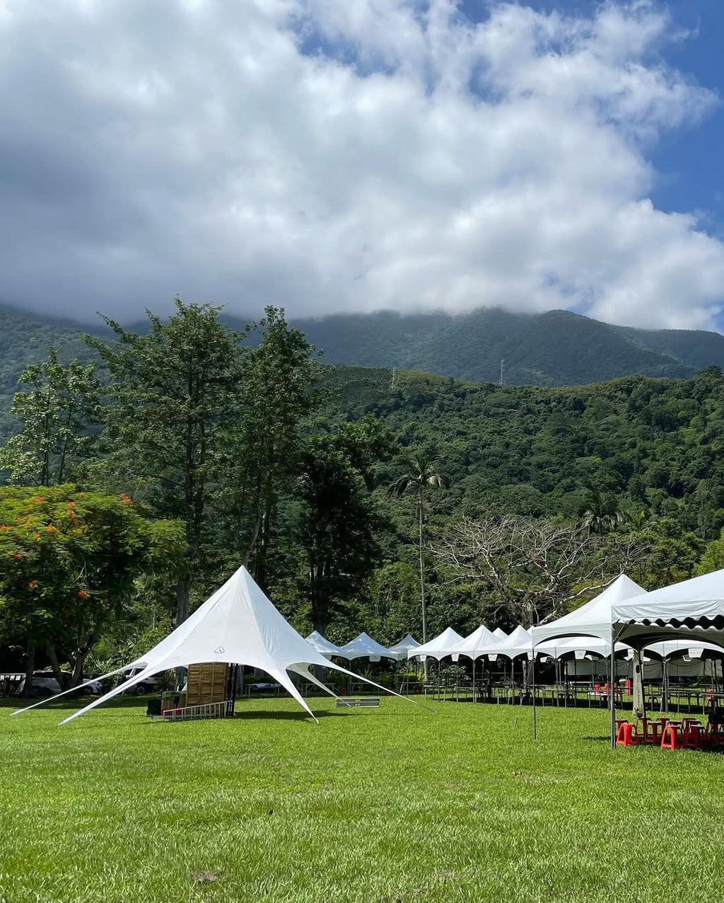 Event｜保安林書市集大型裝置